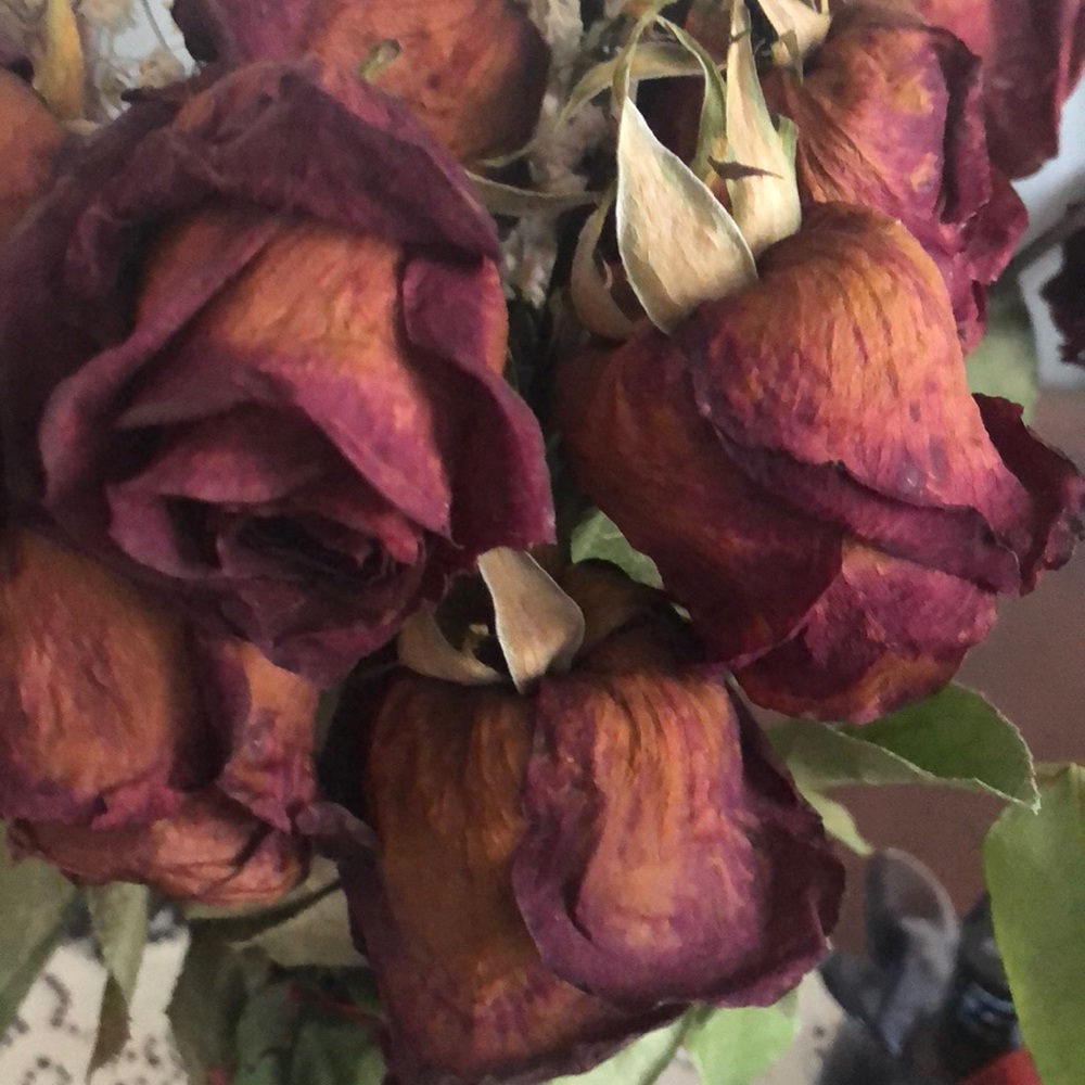 Meet your Posher, Veronica